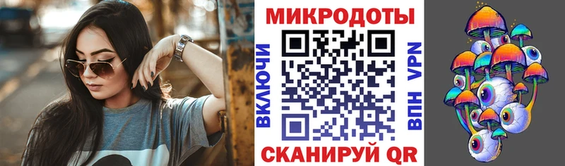кракен онион  Качканар  Галлюциногенные грибы Psilocybine cubensis 